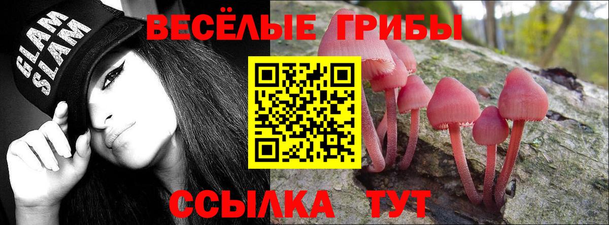 где можно купить   Псилоцибиновые грибы ЛСД  Коломна  Вход с VPN  Галлюциногенные грибы Psilocybine cubensis 